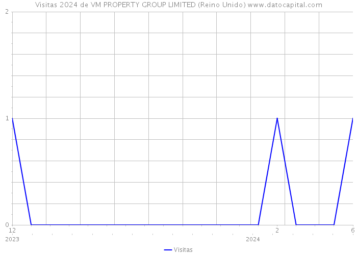 Visitas 2024 de VM PROPERTY GROUP LIMITED (Reino Unido) 