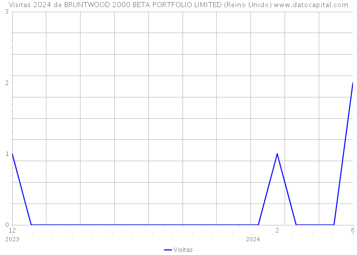 Visitas 2024 de BRUNTWOOD 2000 BETA PORTFOLIO LIMITED (Reino Unido) 