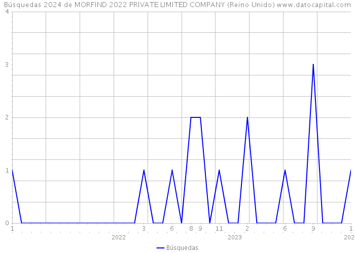 Búsquedas 2024 de MORFIND 2022 PRIVATE LIMITED COMPANY (Reino Unido) 