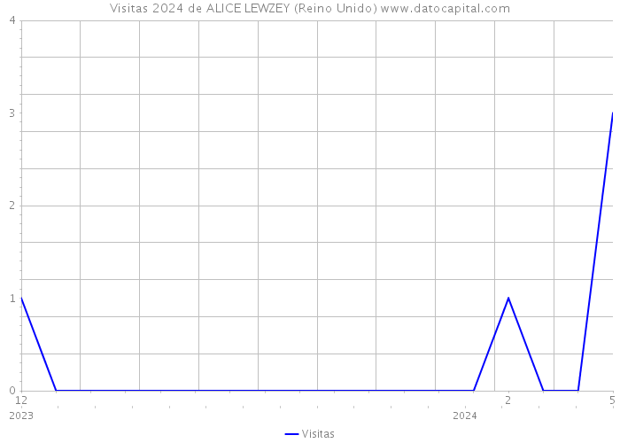 Visitas 2024 de ALICE LEWZEY (Reino Unido) 