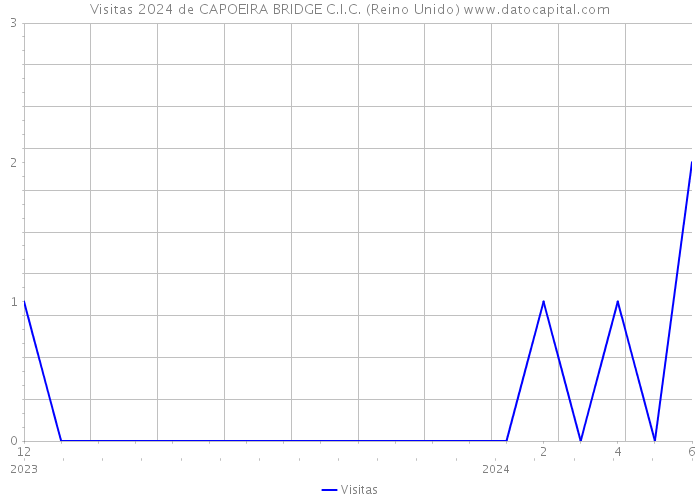 Visitas 2024 de CAPOEIRA BRIDGE C.I.C. (Reino Unido) 