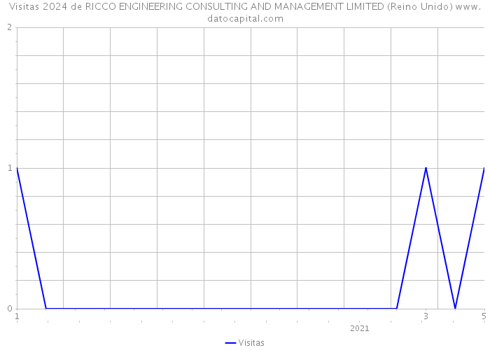 Visitas 2024 de RICCO ENGINEERING CONSULTING AND MANAGEMENT LIMITED (Reino Unido) 