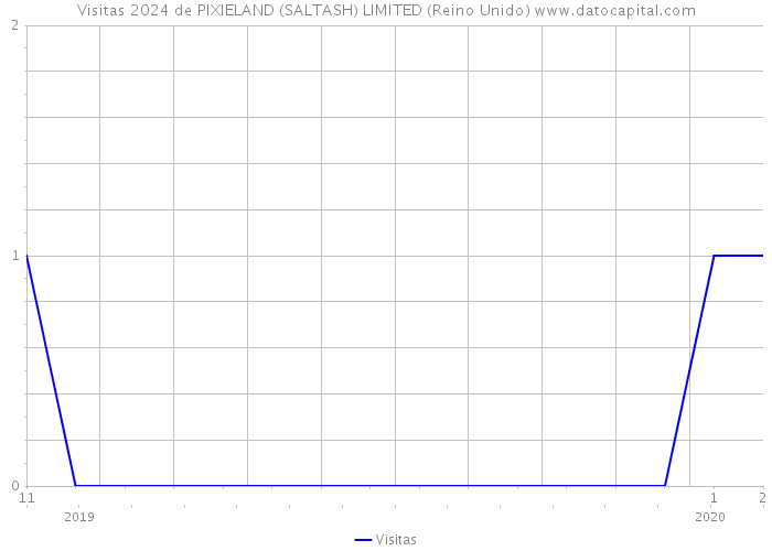 Visitas 2024 de PIXIELAND (SALTASH) LIMITED (Reino Unido) 