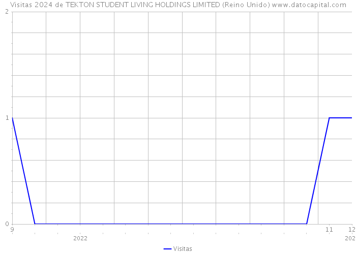 Visitas 2024 de TEKTON STUDENT LIVING HOLDINGS LIMITED (Reino Unido) 