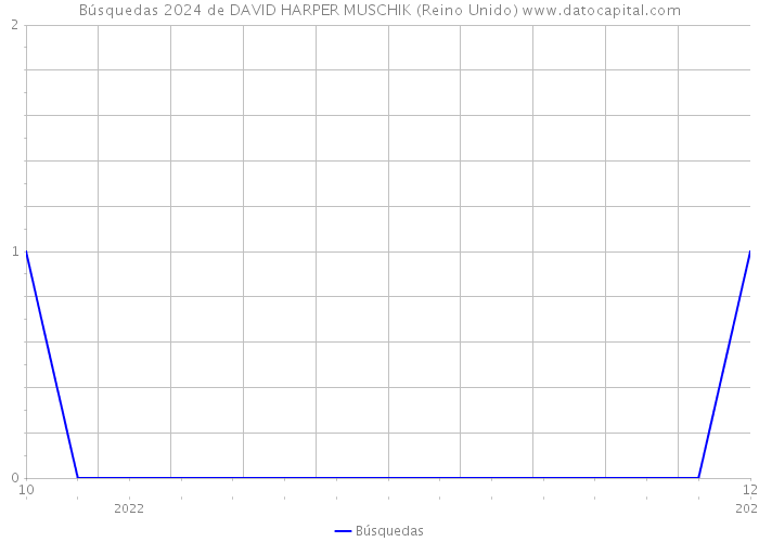 Búsquedas 2024 de DAVID HARPER MUSCHIK (Reino Unido) 