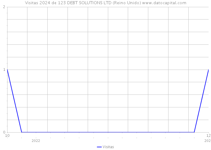 Visitas 2024 de 123 DEBT SOLUTIONS LTD (Reino Unido) 