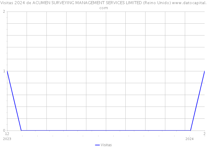 Visitas 2024 de ACUMEN SURVEYING MANAGEMENT SERVICES LIMITED (Reino Unido) 