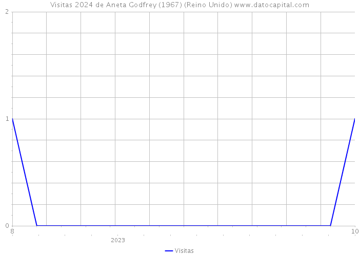 Visitas 2024 de Aneta Godfrey (1967) (Reino Unido) 