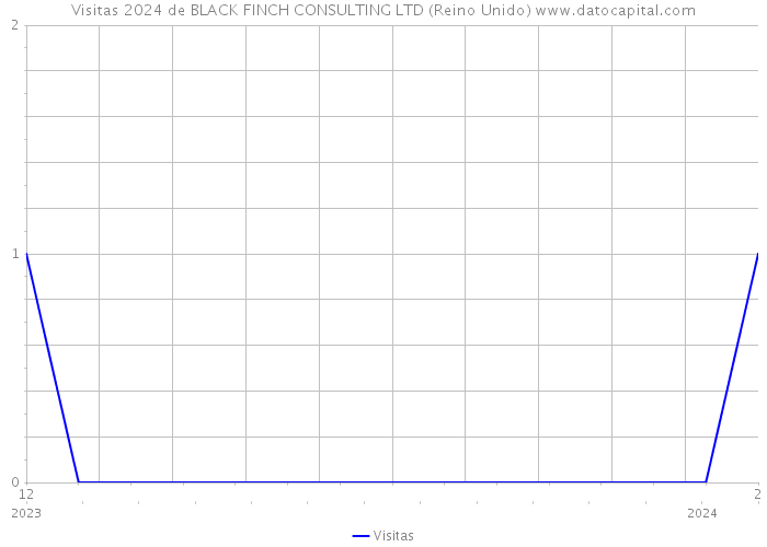 Visitas 2024 de BLACK FINCH CONSULTING LTD (Reino Unido) 