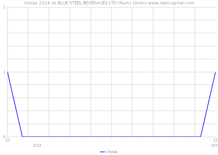 Visitas 2024 de BLUE STEEL BEVERAGES LTD (Reino Unido) 