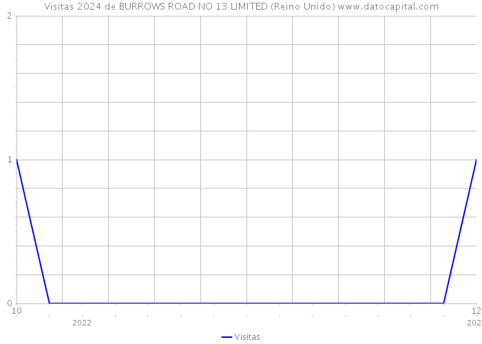 Visitas 2024 de BURROWS ROAD NO 13 LIMITED (Reino Unido) 