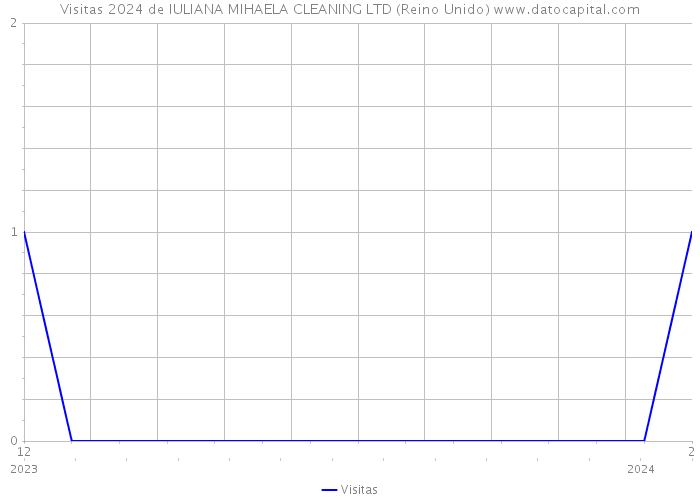 Visitas 2024 de IULIANA MIHAELA CLEANING LTD (Reino Unido) 