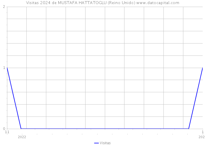 Visitas 2024 de MUSTAFA HATTATOGLU (Reino Unido) 