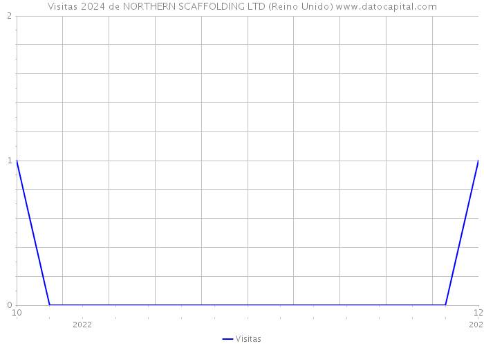 Visitas 2024 de NORTHERN SCAFFOLDING LTD (Reino Unido) 