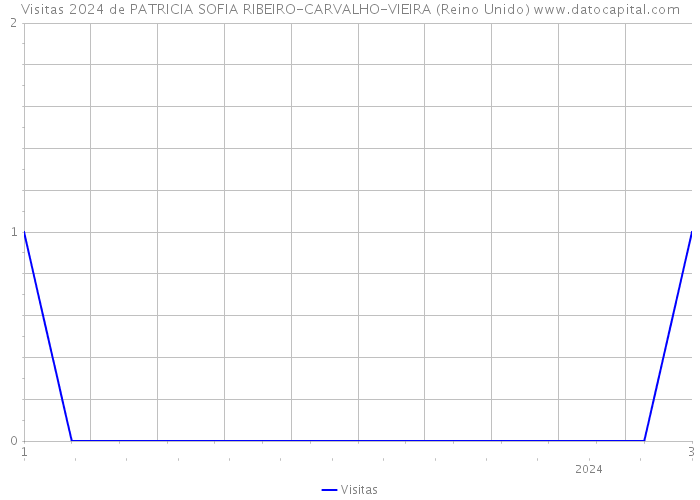 Visitas 2024 de PATRICIA SOFIA RIBEIRO-CARVALHO-VIEIRA (Reino Unido) 
