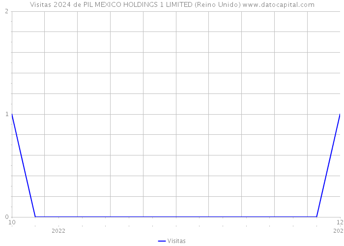 Visitas 2024 de PIL MEXICO HOLDINGS 1 LIMITED (Reino Unido) 