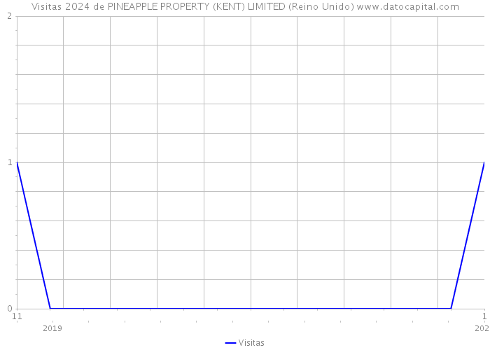 Visitas 2024 de PINEAPPLE PROPERTY (KENT) LIMITED (Reino Unido) 
