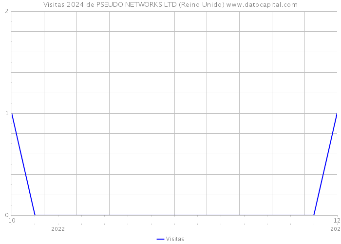 Visitas 2024 de PSEUDO NETWORKS LTD (Reino Unido) 