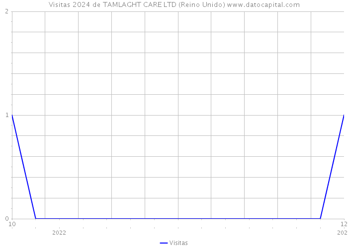 Visitas 2024 de TAMLAGHT CARE LTD (Reino Unido) 