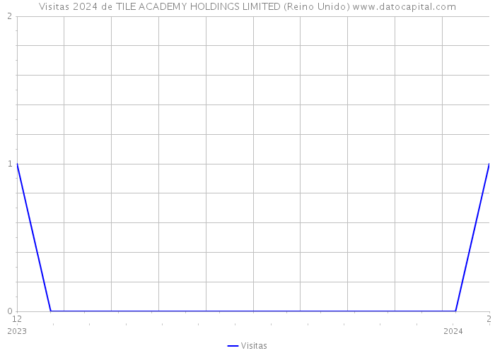 Visitas 2024 de TILE ACADEMY HOLDINGS LIMITED (Reino Unido) 