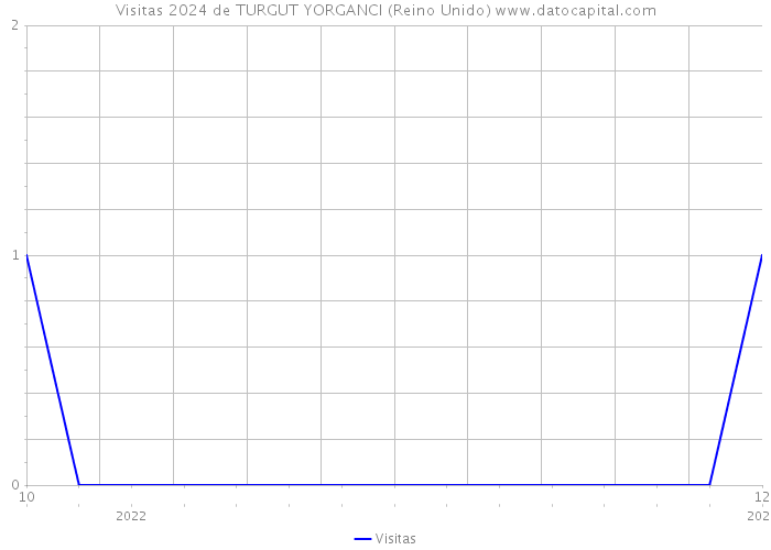 Visitas 2024 de TURGUT YORGANCI (Reino Unido) 