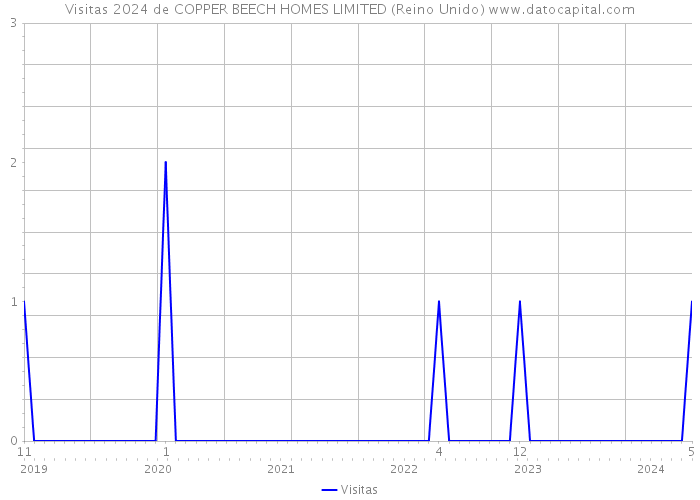 Visitas 2024 de COPPER BEECH HOMES LIMITED (Reino Unido) 
