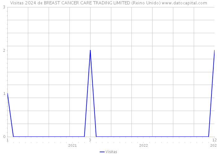 Visitas 2024 de BREAST CANCER CARE TRADING LIMITED (Reino Unido) 