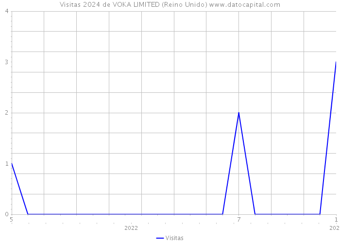 Visitas 2024 de VOKA LIMITED (Reino Unido) 