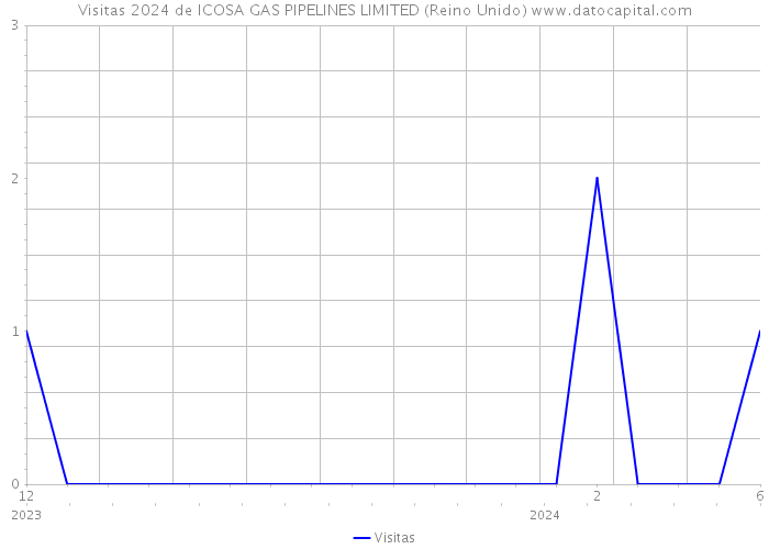 Visitas 2024 de ICOSA GAS PIPELINES LIMITED (Reino Unido) 