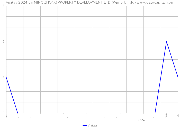 Visitas 2024 de MING ZHONG PROPERTY DEVELOPMENT LTD (Reino Unido) 