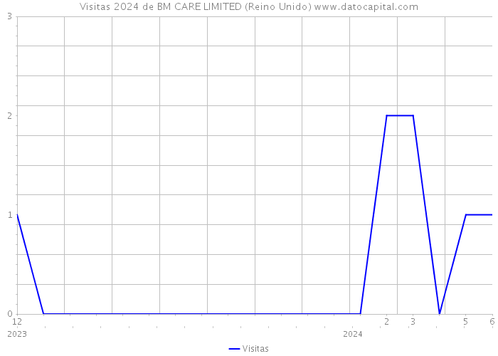 Visitas 2024 de BM CARE LIMITED (Reino Unido) 