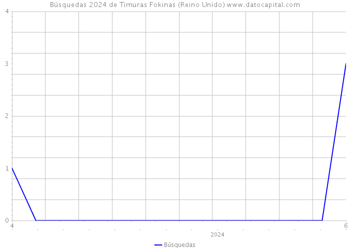 Búsquedas 2024 de Timuras Fokinas (Reino Unido) 