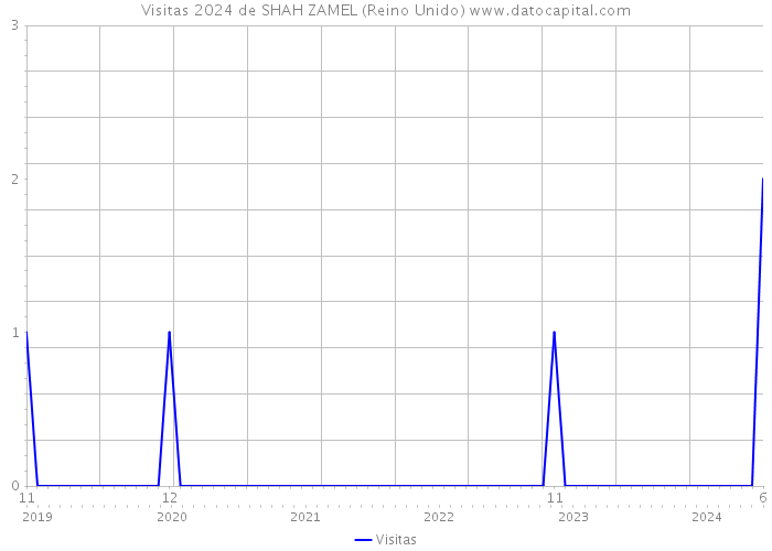 Visitas 2024 de SHAH ZAMEL (Reino Unido) 