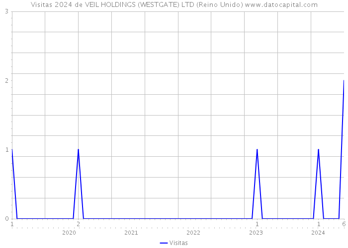 Visitas 2024 de VEIL HOLDINGS (WESTGATE) LTD (Reino Unido) 