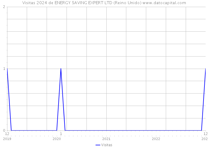 Visitas 2024 de ENERGY SAVING EXPERT LTD (Reino Unido) 