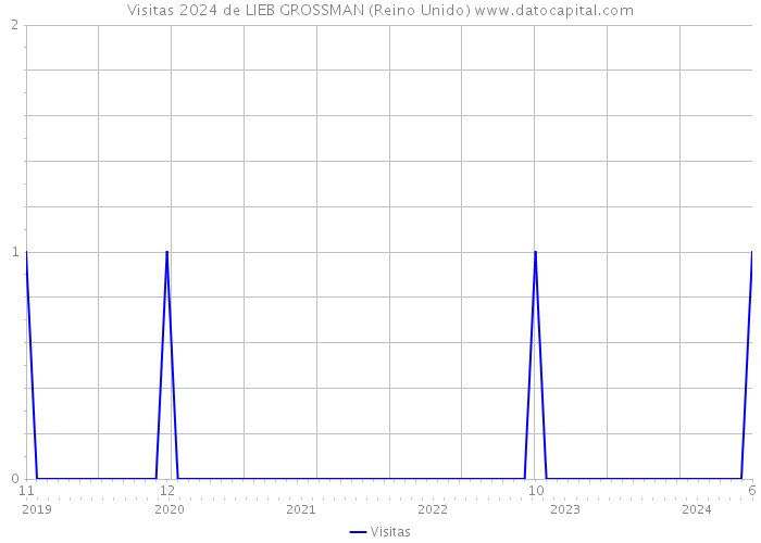 Visitas 2024 de LIEB GROSSMAN (Reino Unido) 