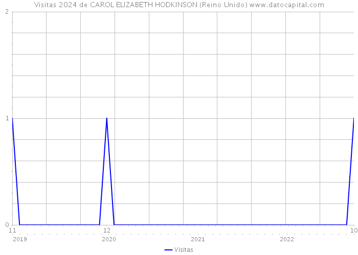 Visitas 2024 de CAROL ELIZABETH HODKINSON (Reino Unido) 