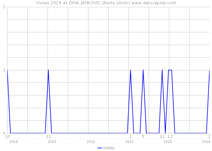 Visitas 2024 de DINA JANKOVIC (Reino Unido) 