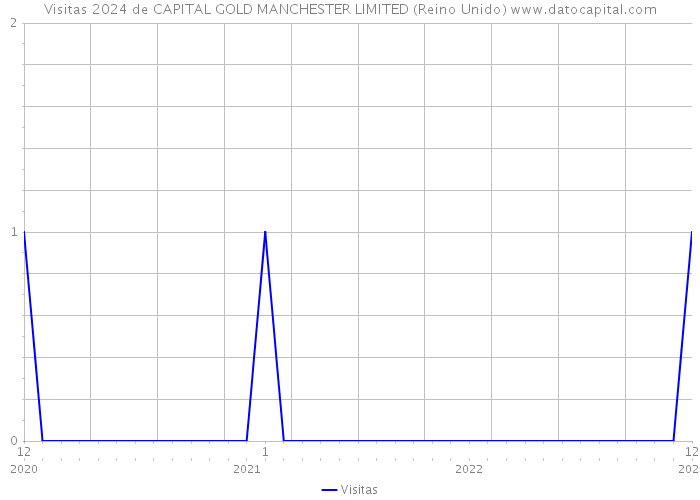 Visitas 2024 de CAPITAL GOLD MANCHESTER LIMITED (Reino Unido) 