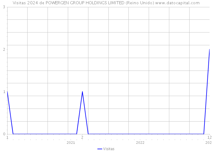 Visitas 2024 de POWERGEN GROUP HOLDINGS LIMITED (Reino Unido) 