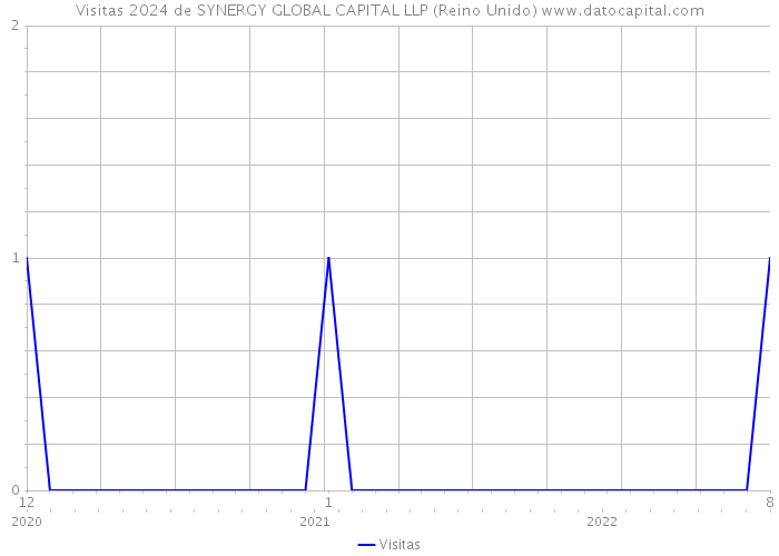 Visitas 2024 de SYNERGY GLOBAL CAPITAL LLP (Reino Unido) 