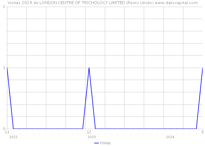 Visitas 2024 de LONDON CENTRE OF TRICHOLOGY LIMITED (Reino Unido) 