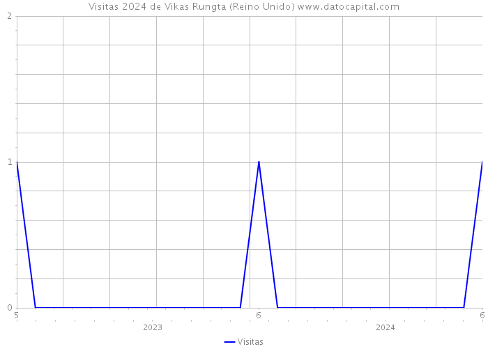 Visitas 2024 de Vikas Rungta (Reino Unido) 