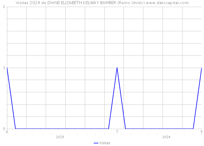 Visitas 2024 de DIANE ELIZABETH KELWAY BAMBER (Reino Unido) 