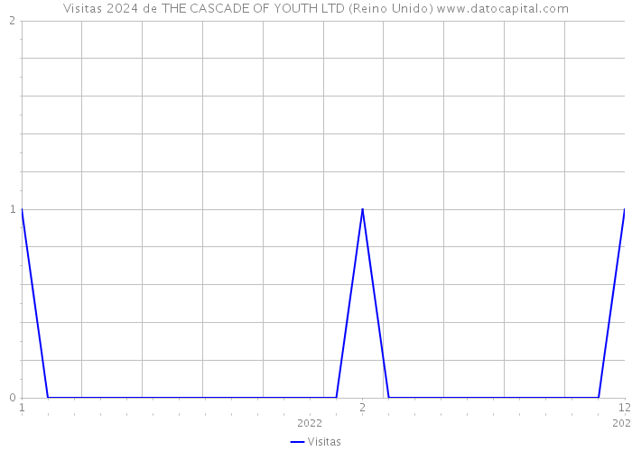 Visitas 2024 de THE CASCADE OF YOUTH LTD (Reino Unido) 