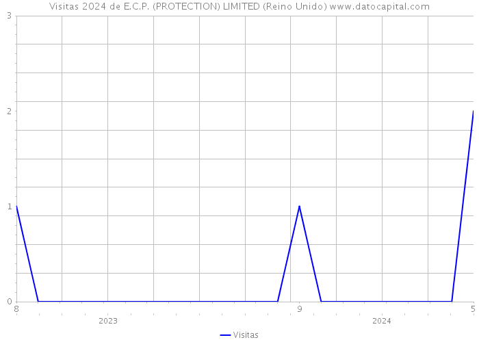 Visitas 2024 de E.C.P. (PROTECTION) LIMITED (Reino Unido) 