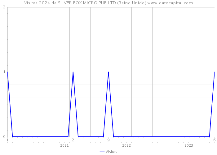 Visitas 2024 de SILVER FOX MICRO PUB LTD (Reino Unido) 