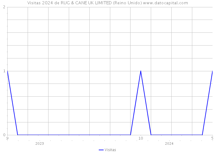 Visitas 2024 de RUG & CANE UK LIMITED (Reino Unido) 