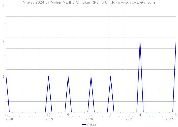 Visitas 2024 de Meher Madhu Chilukuri (Reino Unido) 