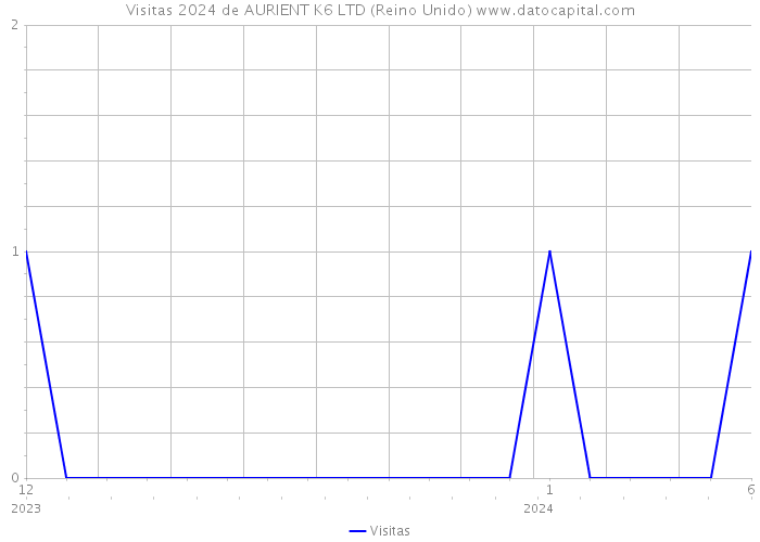 Visitas 2024 de AURIENT K6 LTD (Reino Unido) 